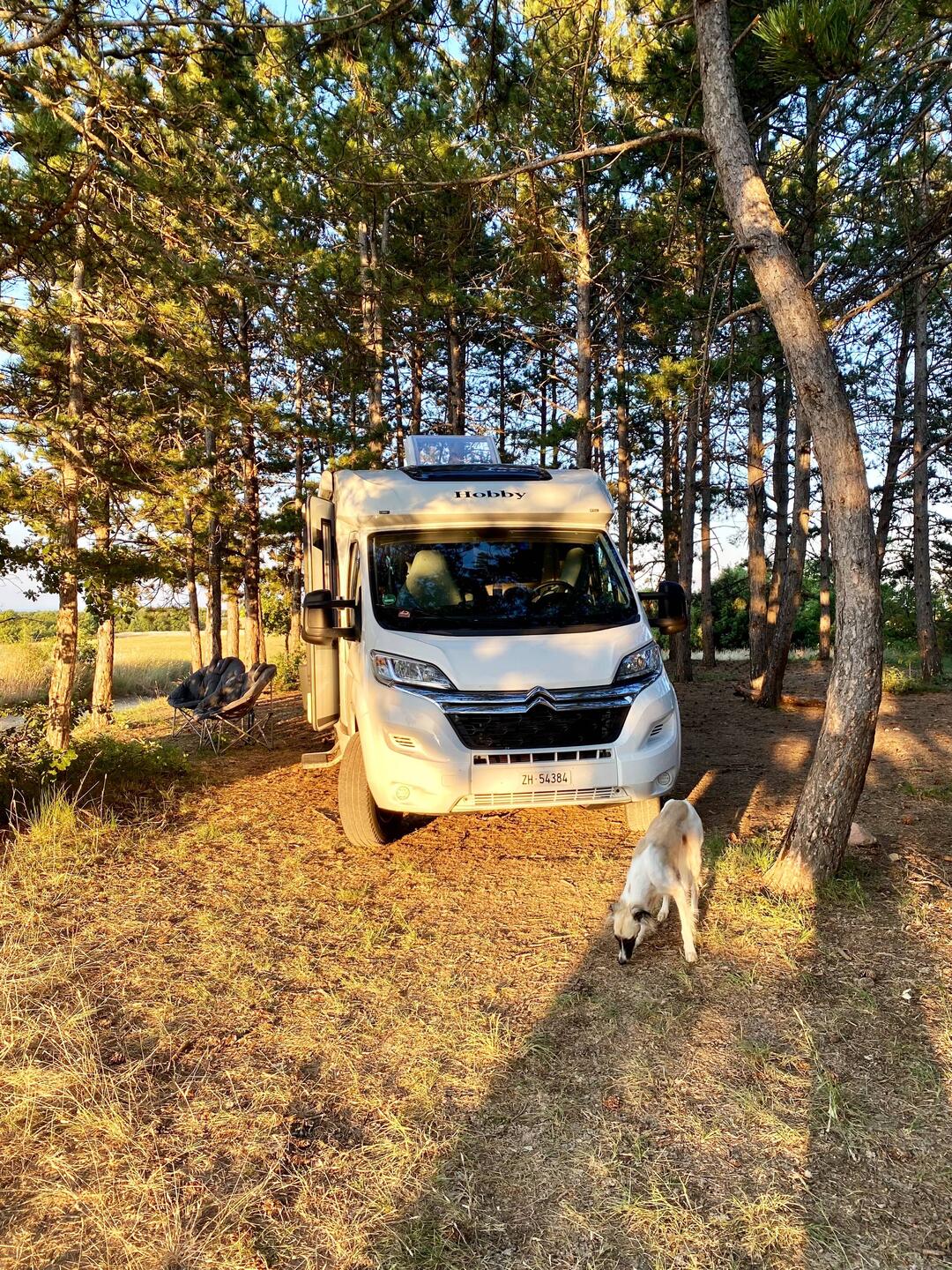 Die Morgensonne strahlt auf unser WoMolino.
