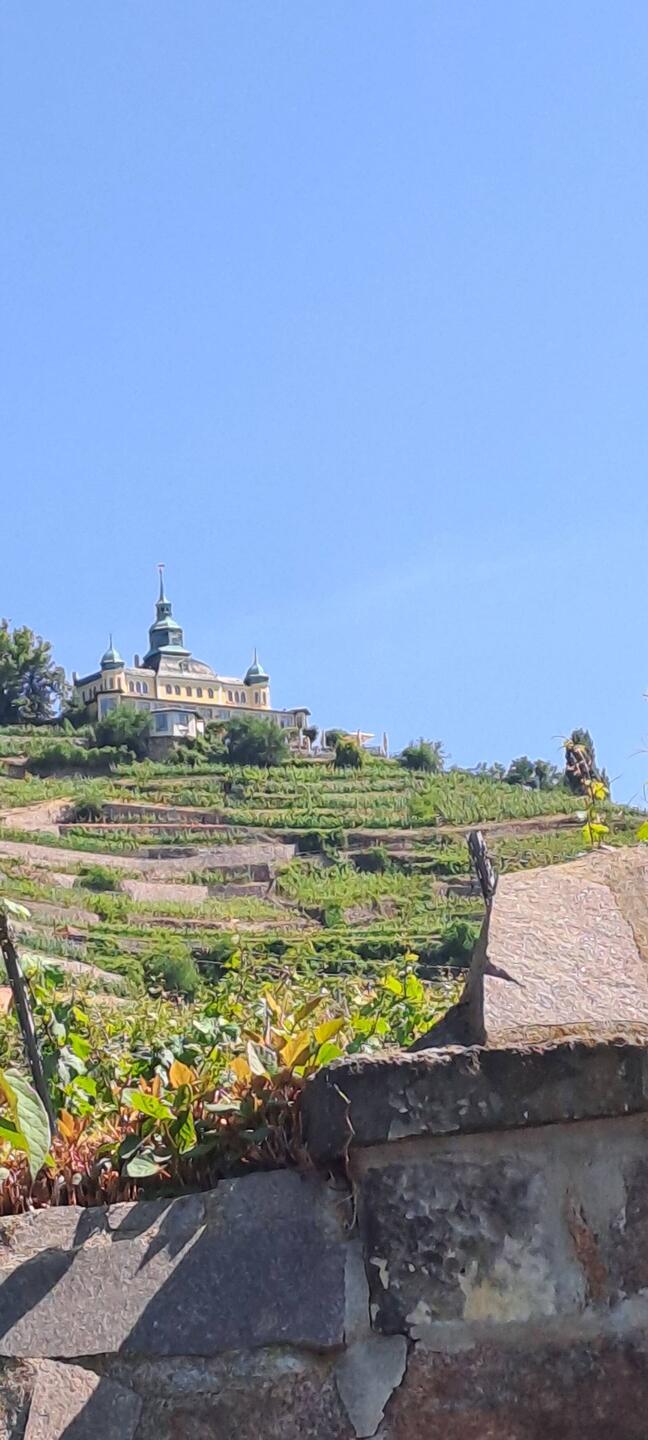 Spitzhaus adee