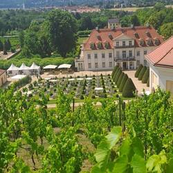 Blick zum Schloss Wackerbarth