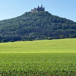 Vorbei an der Burg Hohenzollern...