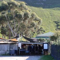 Es geht in die kleine Stadt Hermanus...