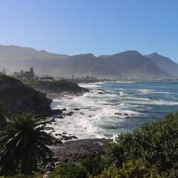 Hermanus ist ein kleines Dorf am Atlantik...