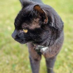 Nanuk schaut auch mal nach dem Rechten!