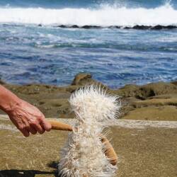 da hinten ist doch Hawai, oder?