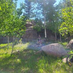 So lässt sich die Pause aushalten. Schatten und eine natürliche Wasserquelle