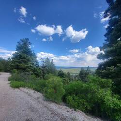 ...und bringt uns zu grünen Bäumen, schöner Aussicht...