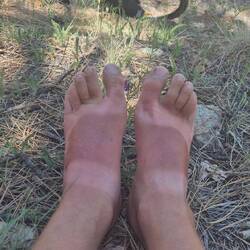 Lecker fand ein Insekt auch Carstens linken Fuß