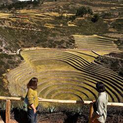 Moray