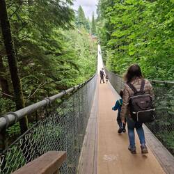 The Capulino suspension bridge