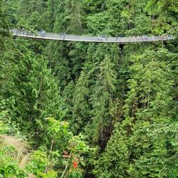 The Capulino suspension bridge