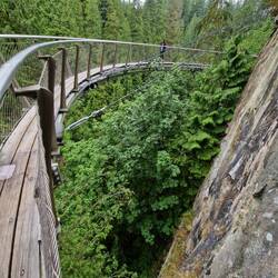 The cliff walk