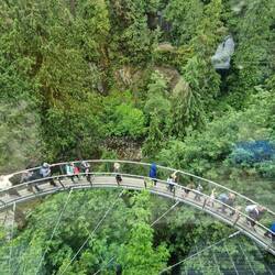 The cliff walk