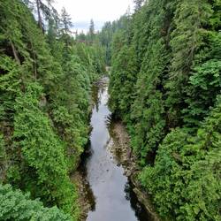 Looking down from the suspension bridge