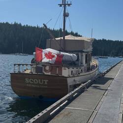 A very patriotic Scout at Gorge Harbour