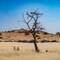 Graslandschaft mit rotem Namib Sand und Gras...