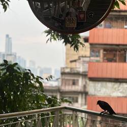 Zu unserem Spiegelbild gesellte sich dann noch ein Vogel. 😅