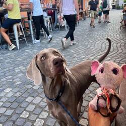 Mag und Fäntli.....