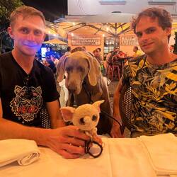 Janez, Mag, Fäntli and 🤔