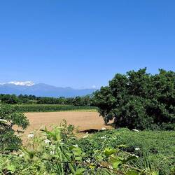 In de verte de witbesneeuwde Alpentoppen rond Monte Cervino en Dufourspitze.