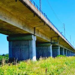 De HST-lijn tussen Torino en Milano is in dit drassige land helemaal op poten gebouwd.