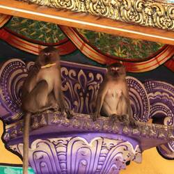 Ich denke es schmeckt ihm 🤷🏼‍♀️