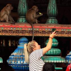 Ich weiß nicht, was sie dem Affen zeigen wollte. 🤷🏼‍♀️🤣