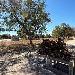 Kurz noch beim afrikanischen Holzhandelskollegen Brennholz gekauft.