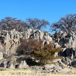 Typisch für Kubu. Baobab und Granitfelsen.