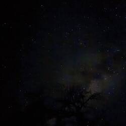 Fantastisch! Die Fotos kommen am Besten im Dunklen zur Geltung.