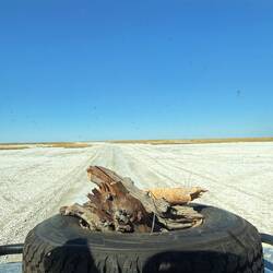 Sowa Pan! Kubi Island ist die Insel im Salzsee (Sowa Pan)