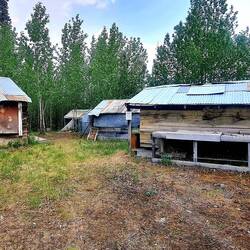Hütte von First Nation beim Wolf Creek