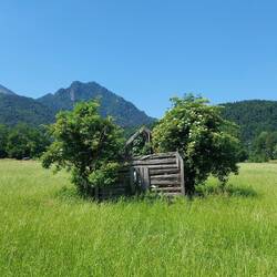 Das Leben findet seinen Weg!😁👍