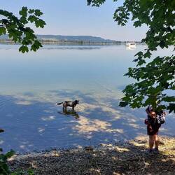 Frodo widersetzt sich dem Hundebadeverbot!