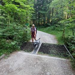 Hundegerechte Mittelspur!👍