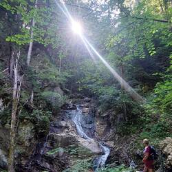 Schnappschuss eines bekannten Meisters.