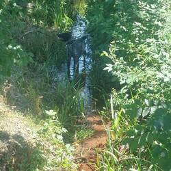 Frodo im Wohlfühlmodus.