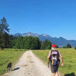 Auf der Zielgeraden nach....