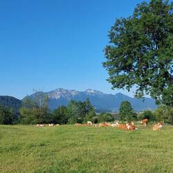 Wir starten um 8 Uhr mit Blick auf Heimgarten und Herzogstand.