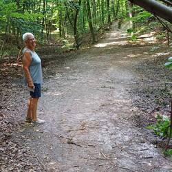 .. und weiter durch den Wald