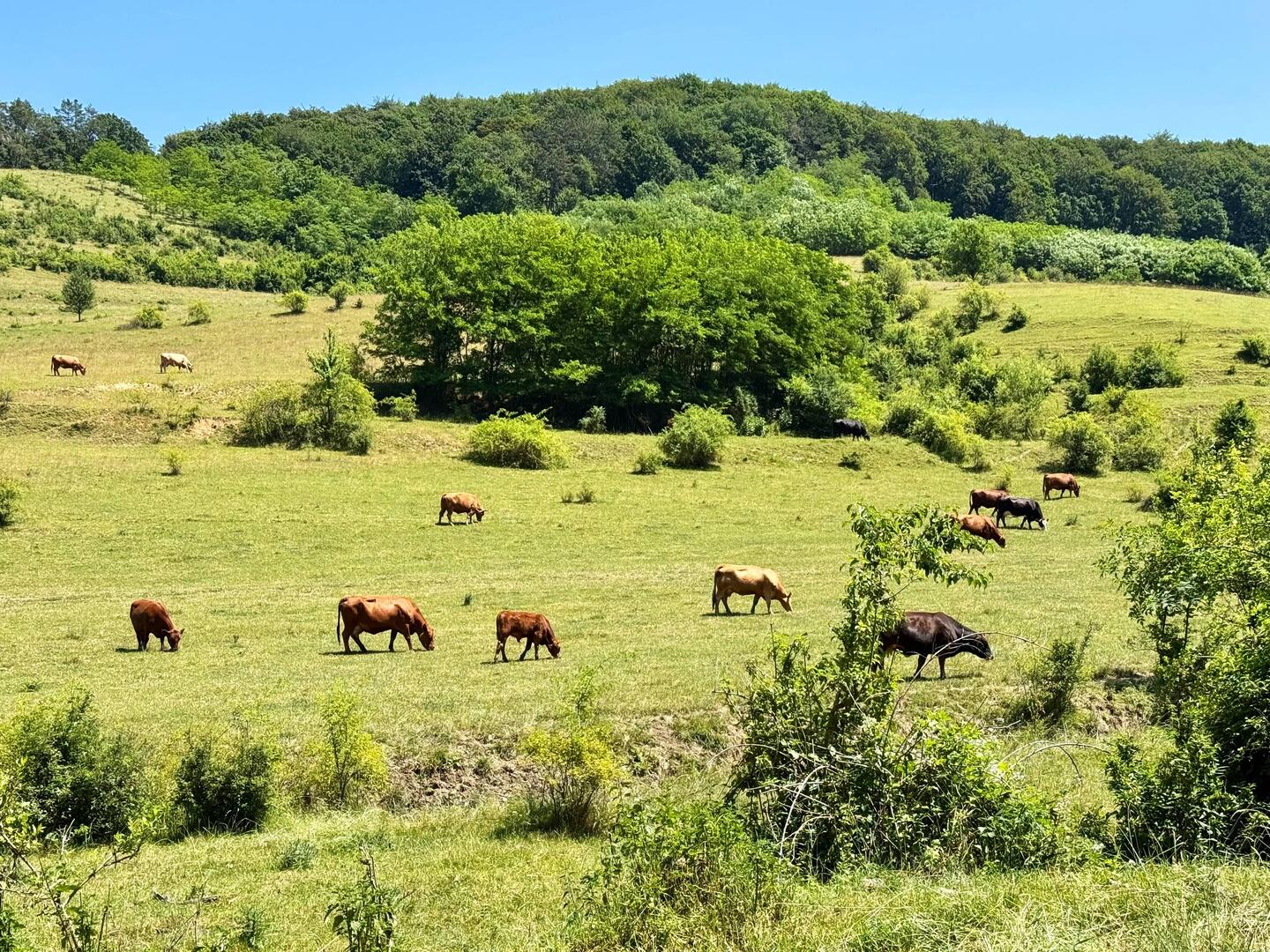 Herrliche Landschaft unterwegs!