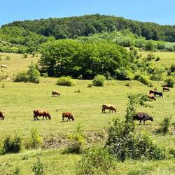 Herrliche Landschaft unterwegs!
