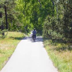 Der Radweg auf der Kurischen Nehrung ...