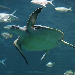 ...eine nette und warme Abwechslung