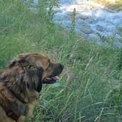 Miniwanderung am Abend