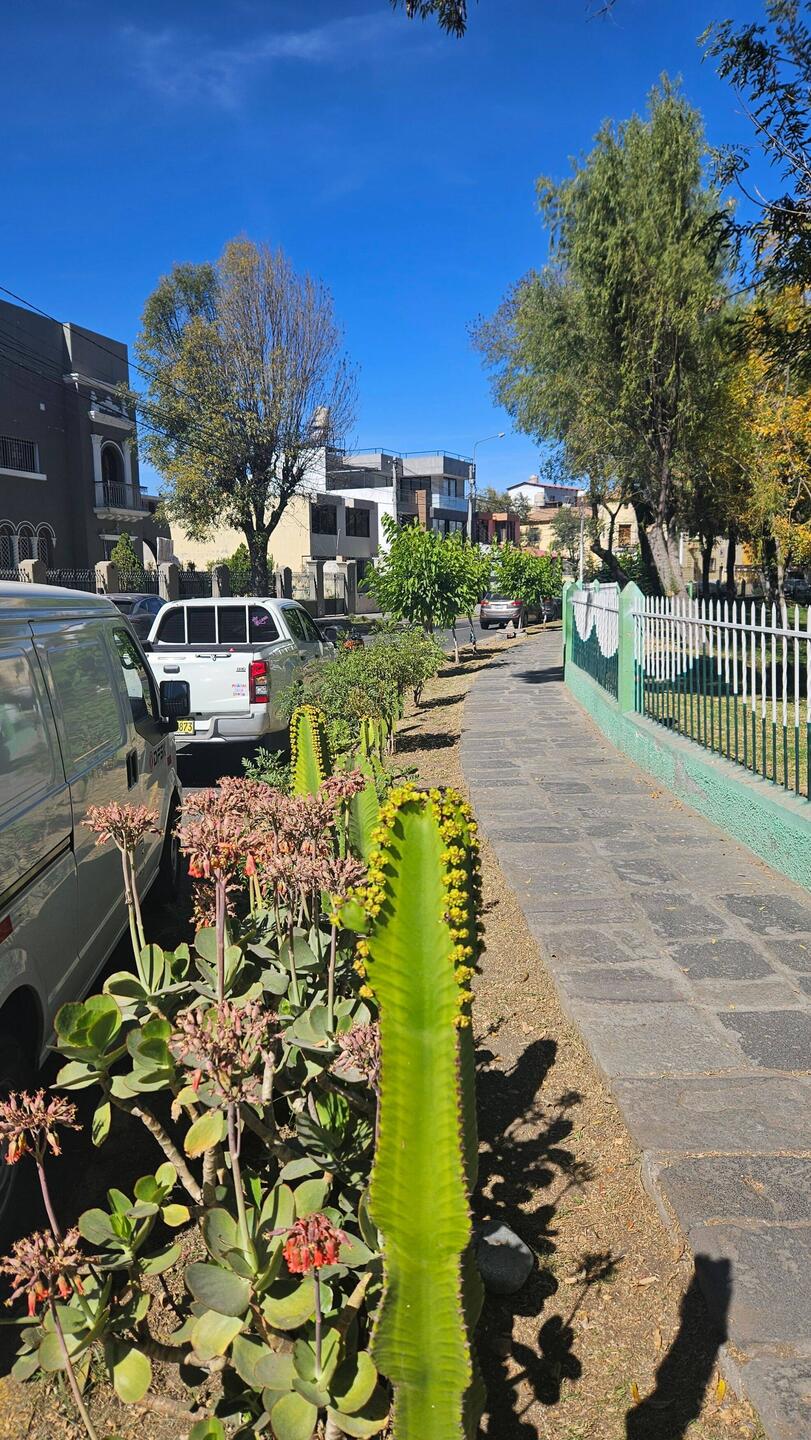 Spitzer Grünstreifen.