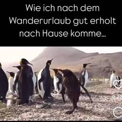 So ist es.