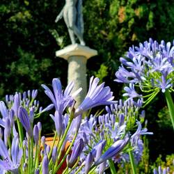 ... Blumen und überall Statuen!