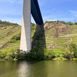 A61 Moselbrücke bei Winningen, Neubau geplant 2034