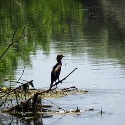 Ein Blick entlang der Alb