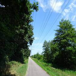 Es gibt wenig Schatten in der Sommersonne